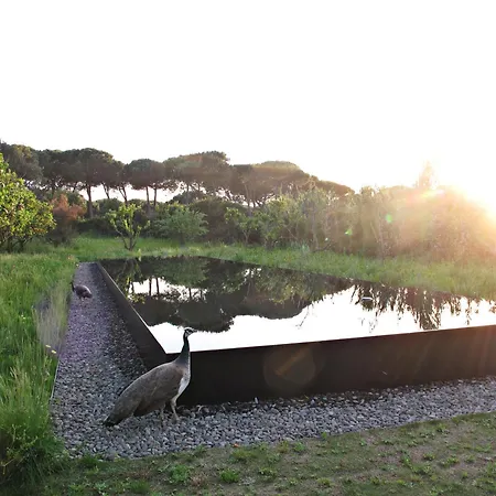 Quinta Do Miguel Aldeia do Meco