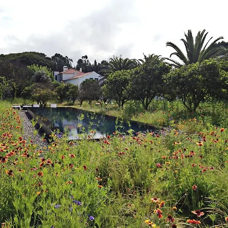Quinta Do Miguel * Aldeia do Meco