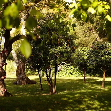 Quinta Do Miguel