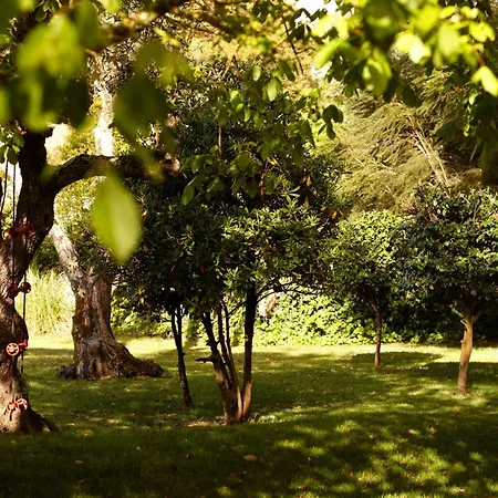 Quinta Do Miguel