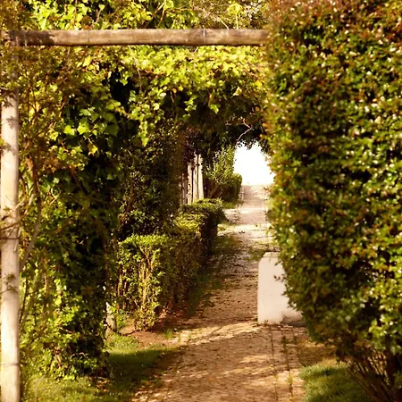 Farm stay Quinta Do Miguel