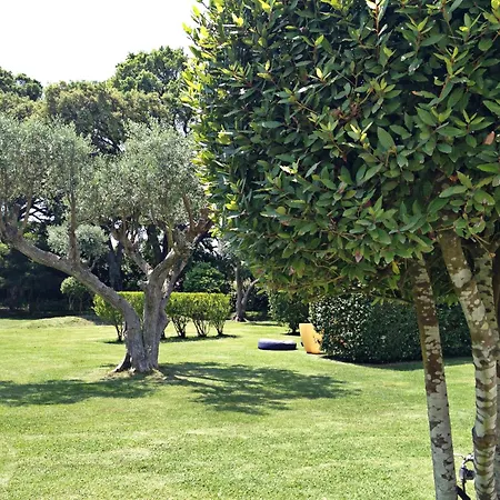 Quinta Do Miguel Alojamento de Turismo Rural *