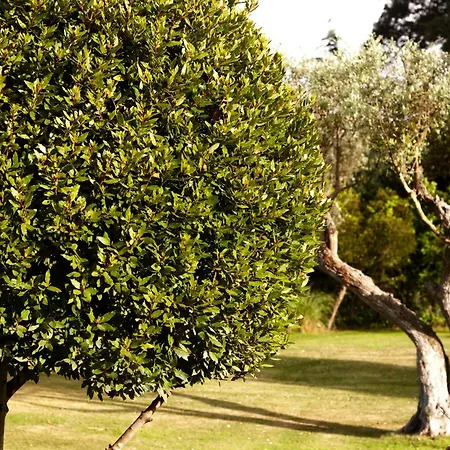 Farm stay Quinta Do Miguel *