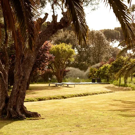 Quinta Do Miguel