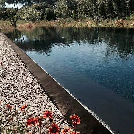 Quinta Do Miguel Aldeia do Meco