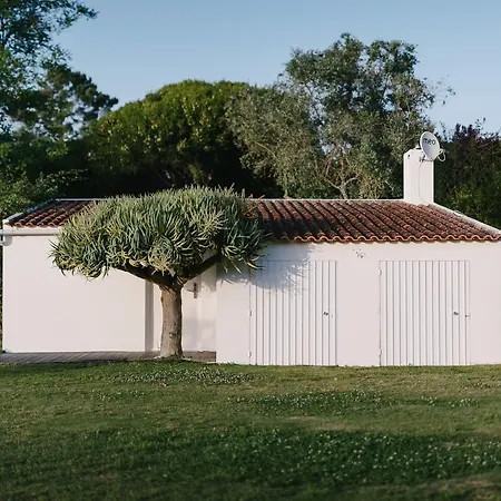 Farm stay Quinta Do Miguel