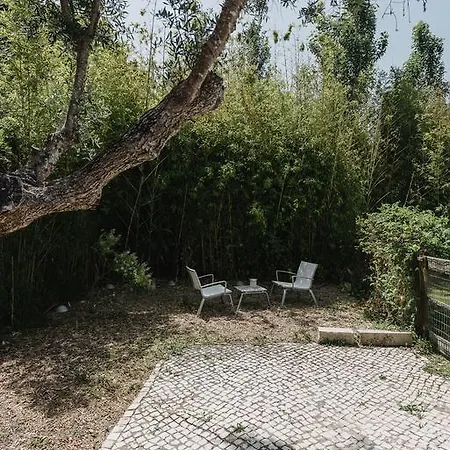 Quinta Do Miguel
