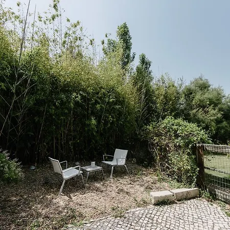 Farm stay Quinta Do Miguel *