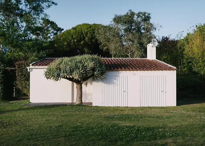 Farma Quinta Do Miguel