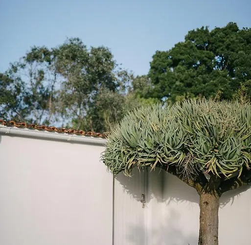 Farma Quinta Do Miguel