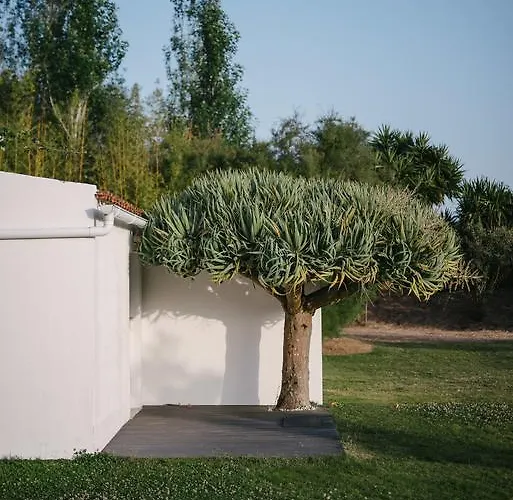 مزرعة للإقامة Quinta Do Miguel *