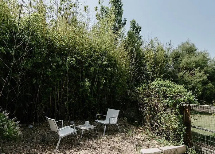 Farma Quinta Do Miguel *