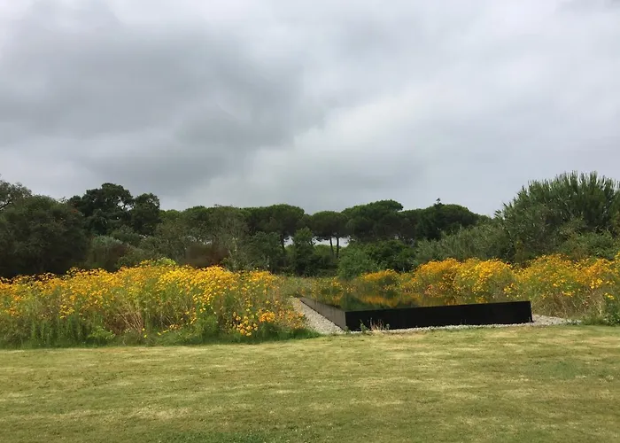 Quinta Do Miguel * Aldeia do Meco